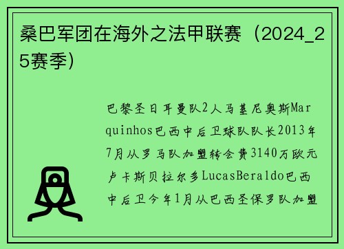 桑巴军团在海外之法甲联赛（2024_25赛季）